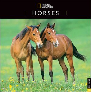 National Geographic Horses 2024 Calendar
